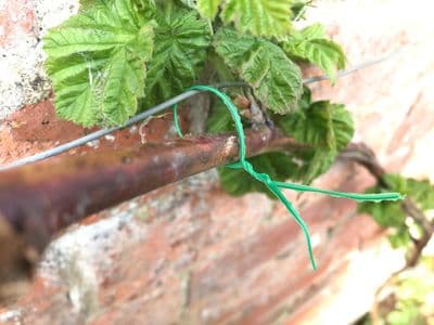 Plastic Coated Flat Twist Ties Green 3mm x 15cm 200pk