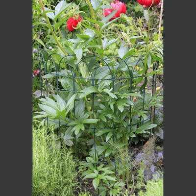 Plastic Coated Wire Hoop Top Fencing 0.25m x 10m