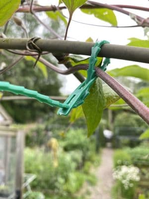 Plastic Vine Ties Green 4mm x 11cm 50pk