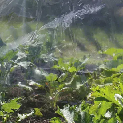 Polythene Clear 100mu 6 x 2m folded shelf pack