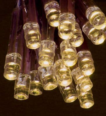Premier Battery Operated LED Lights - 20 LED - Warm White