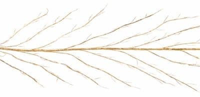 Premier Warm White Lit Branch Garland - 3m Gold