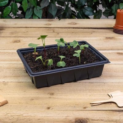Professional Half Seed Tray Black 5pk