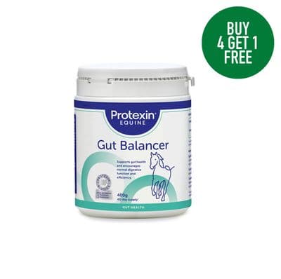 PROTEXIN EQUINE GUT BALANCER *PROMO*