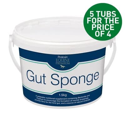 PROTEXIN EQUINE GUT SPONGE *PROMO*