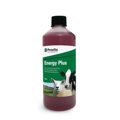 PROVITA ENERGY PLUS