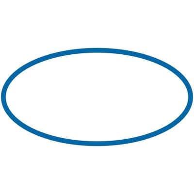 Quarter Milker Spare O-Ring For Lid