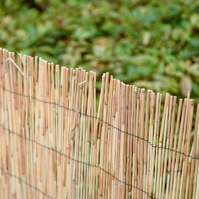 Reed Screening W380cm x H90cm