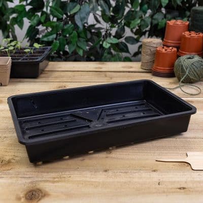 Rigid Seed Tray with drainage holes 36cm Black