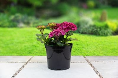 Round Container Pot 7.5ltr 2pk