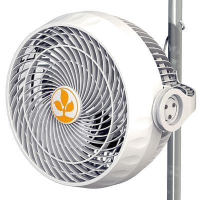 Secret Jardin Monkey Fan 225mm (9
