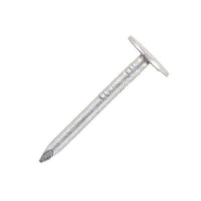 Securpak Large Head Clout Nails - 20mm 80g