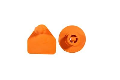Sheep Eartag Blank - Orange