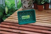 Small Seed Tray Green With Holes