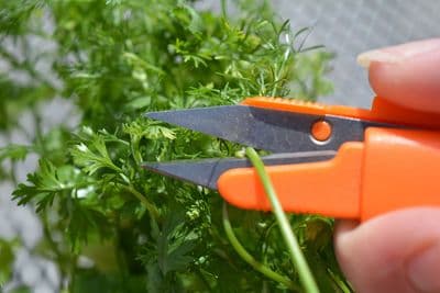 Snip It Deluxe Single - Mixed Colours on Clip Strip