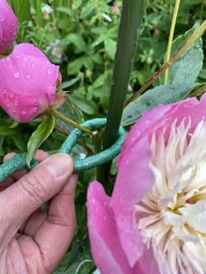 Soft Foam Ties Green 8mm x 25cm