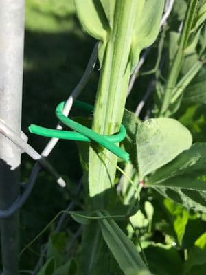 Soft Tie Green 3mm x 8m