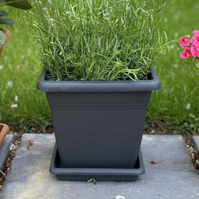 Square Pot 255 x 254mm Terracotta