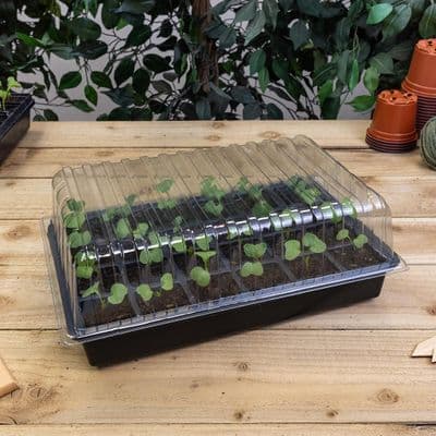Standard Propagator Black 24cm