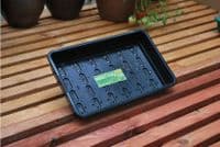 Standard Seed Tray Black With Holes