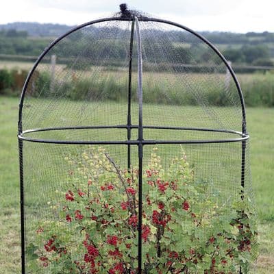 Steel Round Fruit Cage W100cm H150cm