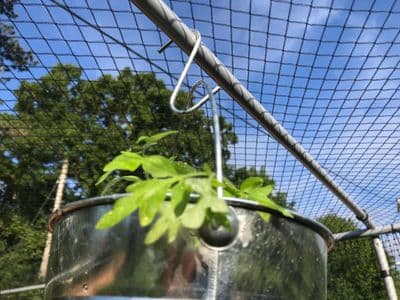 Steel S Hook Medium 3pk