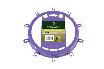 Sweet Pea and Bean Ring Purple