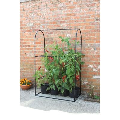 Tomato Crop-Booster Frame W1m H1.6m D50cm