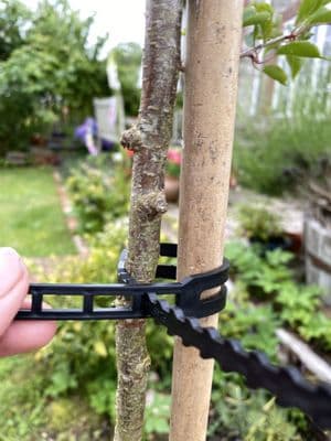 Tree Binders Black 45cm 5pk