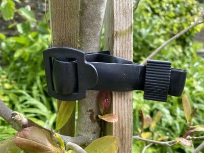 Tree Buckle Ties Black 60cm 2pk