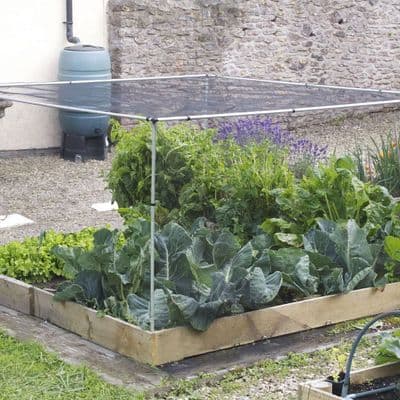 Veg Cage Starter Kit 4Ft x 4Ft