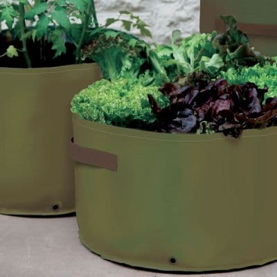 Vegetable Planter 3pk