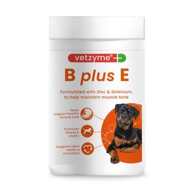 VETZYME VITAMINS B PLUS E FOR DOGS