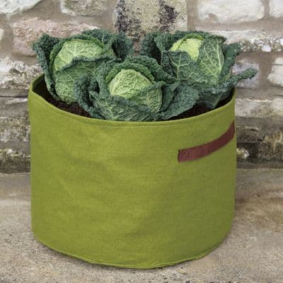 Vigoroot Vegetable Planter