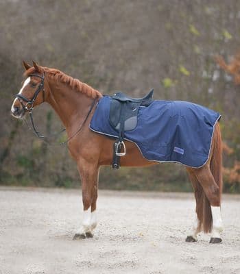 Waldhausen Rain Exercise Sheet with Saddle Gap Navy Full