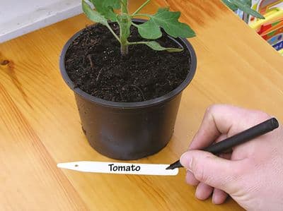 Waterproof Garden Marker Pens 2pk