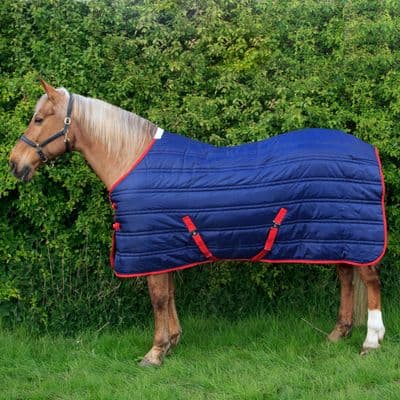 WHITAKER THOMAS STABLE RUG 250GM