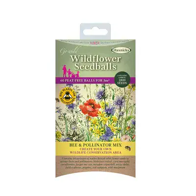 Wildflower Seedballs Bee and Pollinator Mix 60pk