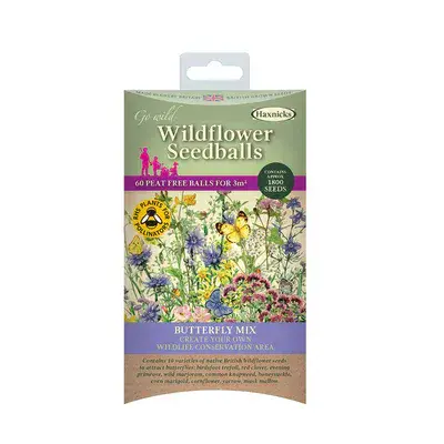 Wildflower Seedballs Butterfly Mix 60pk