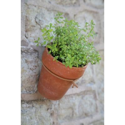 Woody Slim Soft Tie 3.5mm x 8m