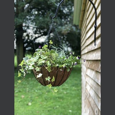 York Hanging Basket with Coco Liner 16in 40cm