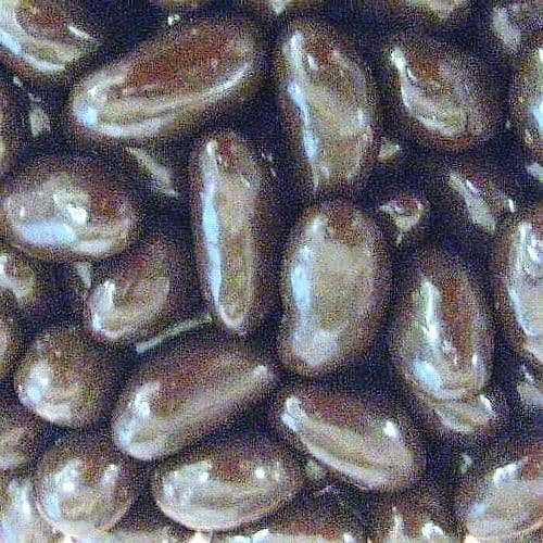Dark/Plain Chocolate Brazil Nuts 200g
