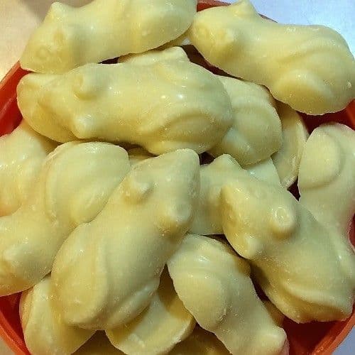 White Mice