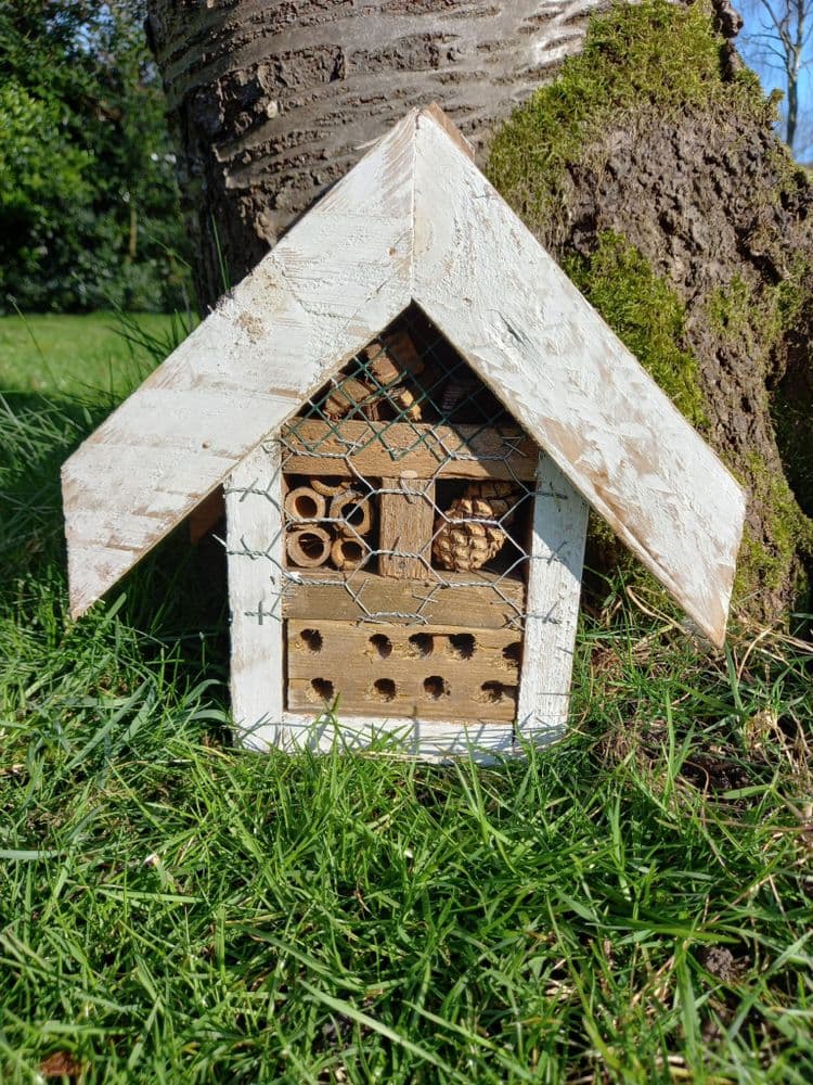 Triangular Bug House Bug House