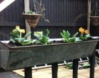 Chicken Feeder Planters