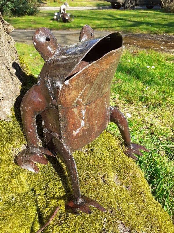 Frog