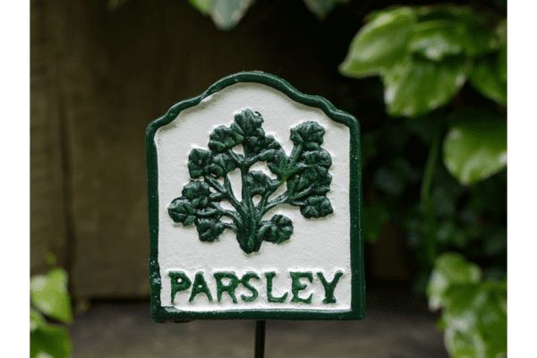 Herb Plant Marker