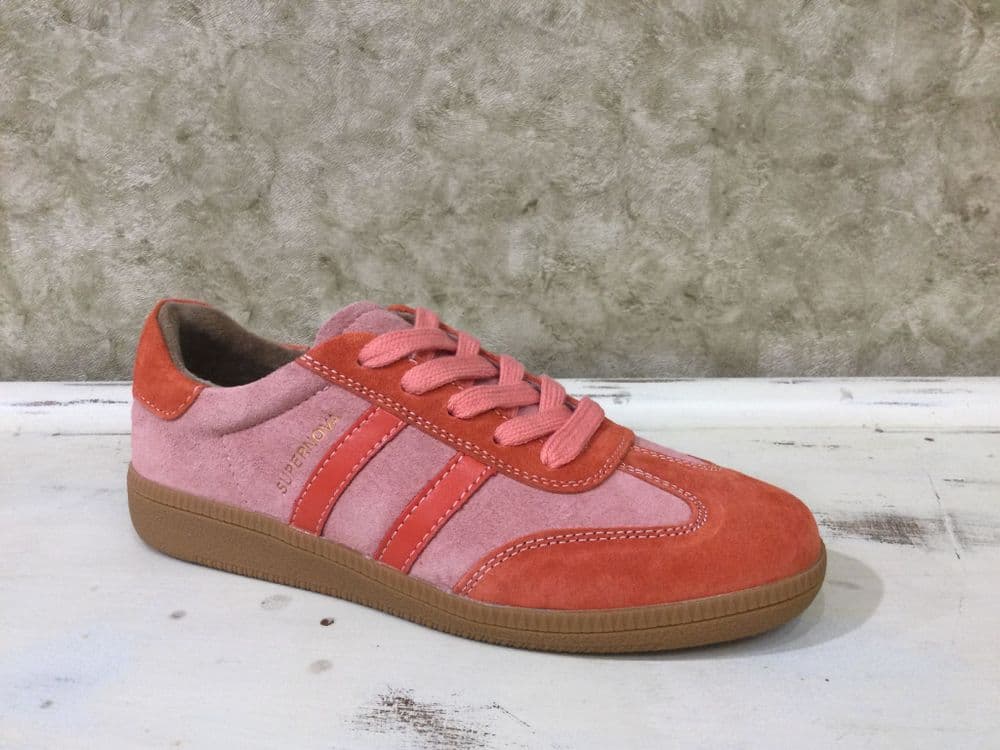 Drilleys Sixty Four Coral Reef Trainer