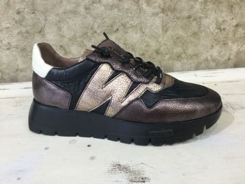 Wonders A-2491 Black & Bronze Mix Trainer