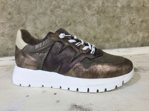 Wonders A-2491 Bronze Mix Trainer